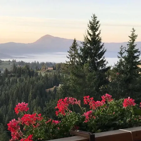Chalet Gogodz Yablunytsya